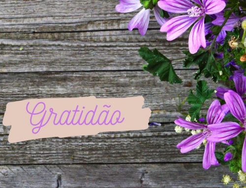 O Poder da Gratidão