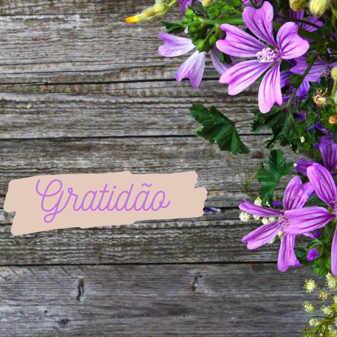 Sete - Quality Standard